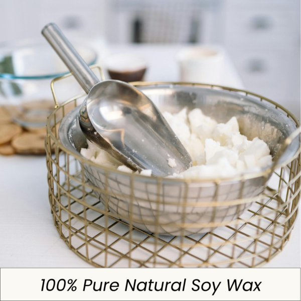 Pure Soy Wax - WS PureSoy