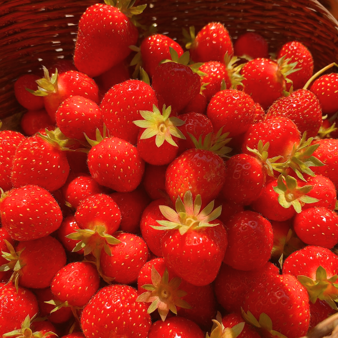 Strawberry Fields Fragrance Oil